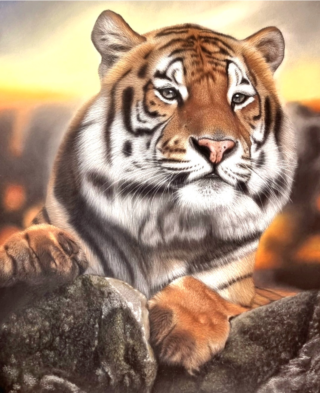 Screenshot_20250213_194329_Gallery